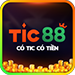 TIC88