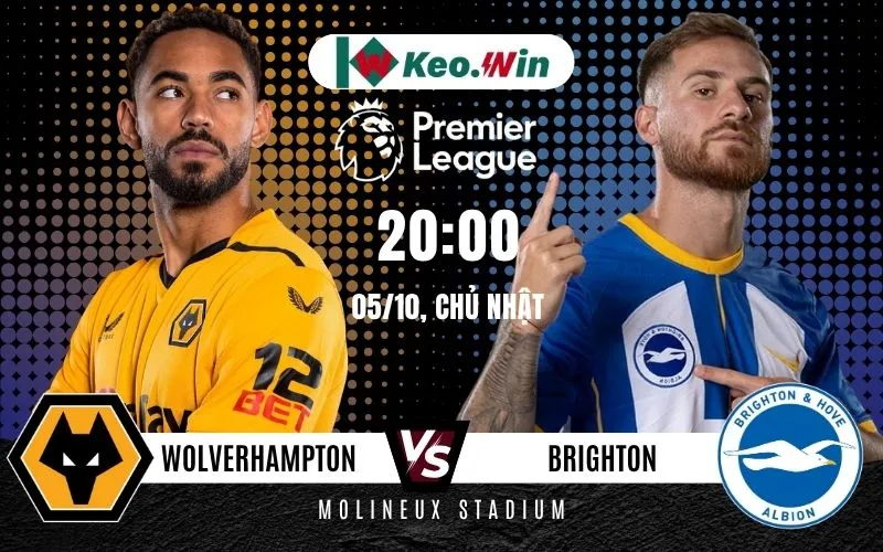 Nhận định Wolverhampton vs Brighton 5/10/2025 - Bầy Cáo đả bại trước Mồng Biển