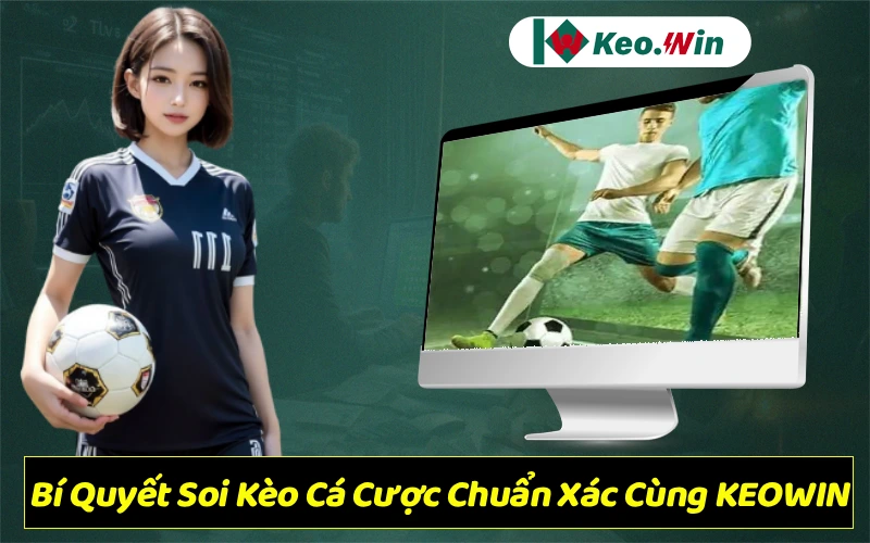 Soi kèo cá cược – Bí quyết đọc kèo, phân tích tỷ lệ chuẩn xác cùng Keo Win